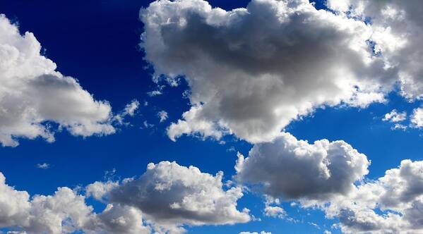 Clouds Poster featuring the photograph Puffy Sky - 2 by Christy Pooschke