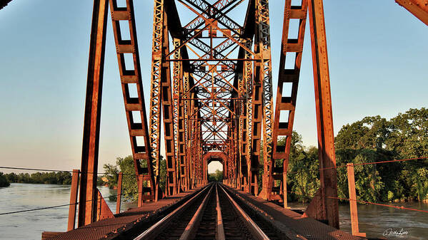 Union Pacific Poster featuring the photograph Richmond Brazos River Bridge by Nathan Little