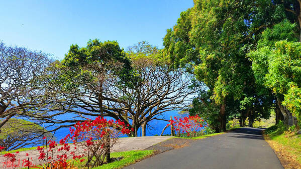 Maui Poster featuring the photograph Road to Hana - Maui by Michael Rucker