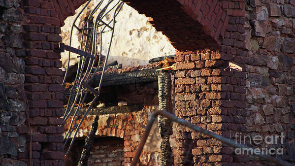 Ruin Poster featuring the photograph Ruin after big fire by Eva-Maria Di Bella