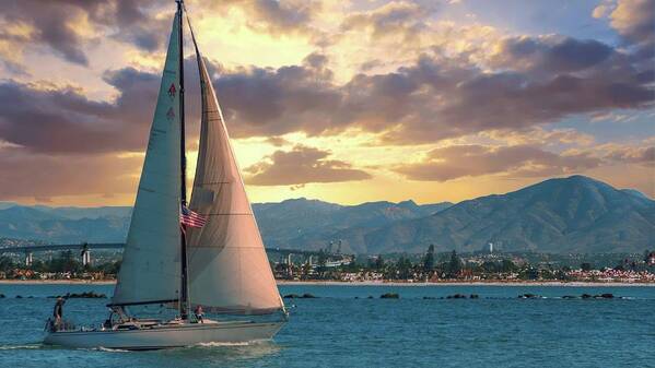 Sailing Poster featuring the photograph Sailing in San Diego by G Lamar Yancy