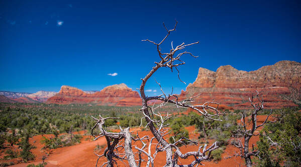 Sedona Poster featuring the photograph Sedona Blue by Robert McKay Jones