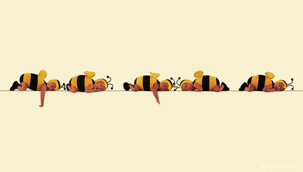 Bees Poster featuring the photograph Sleeping Bees by Anne Geddes
