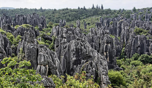 China Poster featuring the photograph Stone Forest by Wade Aiken