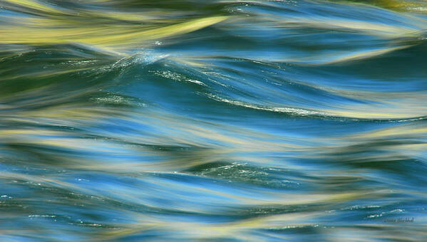 Water Poster featuring the photograph Sunlight Over The River by Donna Blackhall