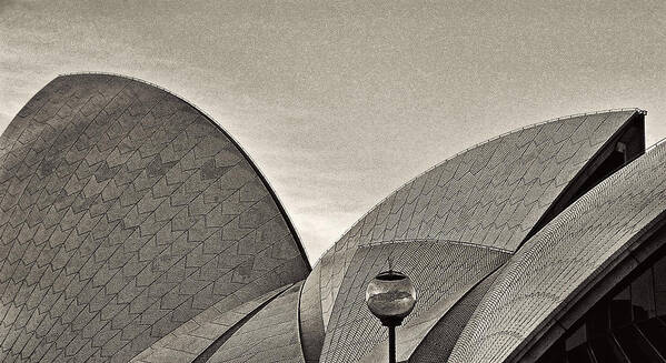 Sydney Poster featuring the photograph Sydney Opera House Roof Detail by Roger Passman