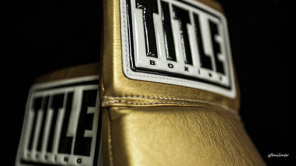 Title Poster featuring the photograph Title Boxing Gloves by Steven Milner