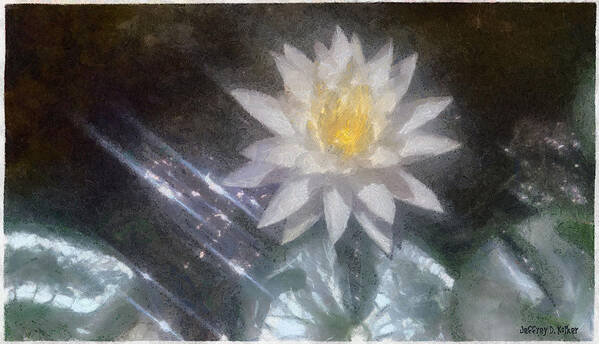 Water Lily Poster featuring the painting Water Lily in Sunlight by Jeffrey Kolker