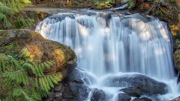 Whatcom Falls Poster featuring the photograph Whatcome Falls by Tony Locke