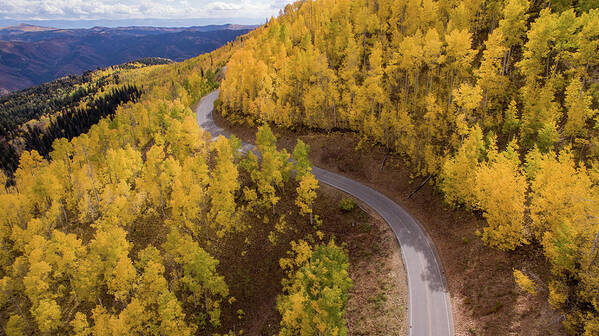 Fall Poster featuring the photograph Winding through Fall by Wesley Aston