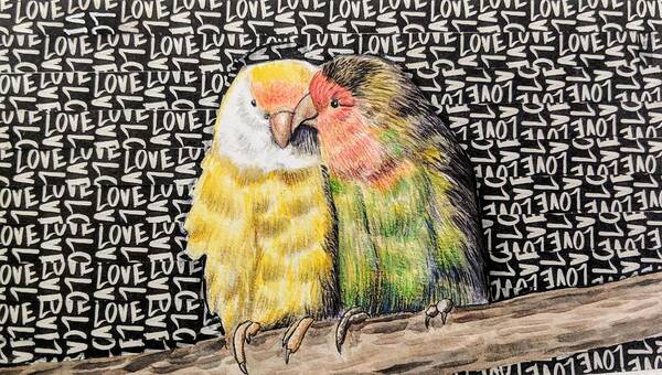 Watercolor Poster featuring the mixed media Love Birds #1 by Rebecca Rodriguez