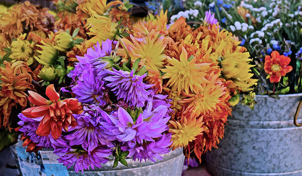 Flowers Poster featuring the photograph 2019 Monona Farmers' Market Late October Flowers 1 by Janis Senungetuk