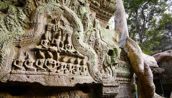 Scenic Poster featuring the photograph Ta Prohm Temple, Angkor, Cambodia, Asia #3 by Jan Wlodarczyk
