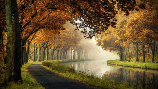 River Poster featuring the photograph A Calm Morning by Sus Bogaerts