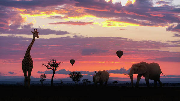 African Poster featuring the photograph African Safari Colorful Sunrise With Animals by Good Focused