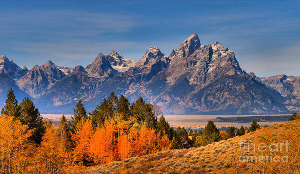Grand Teton Poster featuring the photograph Autumn Gold In The Tetons by Adam Jewell