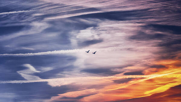 Sky Poster featuring the photograph Back to the Sky by Jaroslav Buna