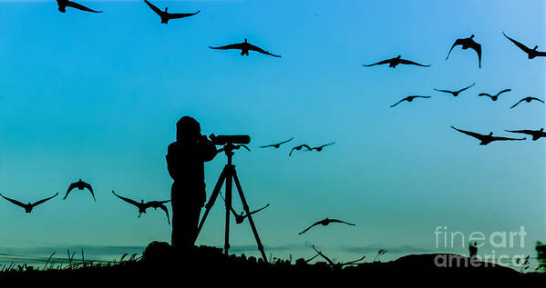 Beautiful Poster featuring the photograph Bird Watcher Silhouette by Erkki Alvenmod