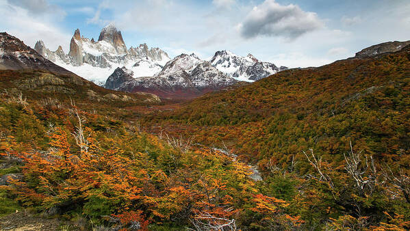 Patagonia Poster featuring the photograph Calihue by Ryan Weddle