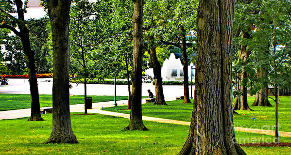 Restful Poster featuring the photograph Capitol Hill Summer - A Quiet Moment by Steve Ember