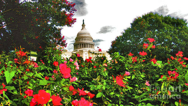 Capitol Poster featuring the photograph Capitol West Summer - Impression by Steve Ember