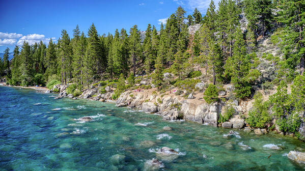 Lake Tahoe Poster featuring the photograph Chimney Beach Turquoise Waters Lake Tahoe by Anthony Giammarino