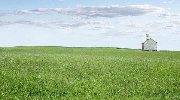 Photography Poster featuring the photograph Farm & Country I by James Mcloughlin