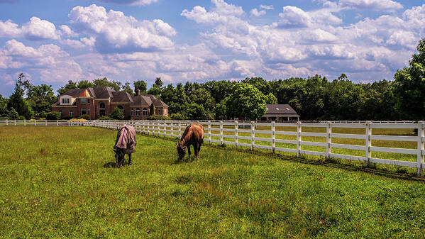 Atsion Poster featuring the photograph Horse Farm by Louis Dallara
