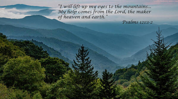 Scripture Poster featuring the photograph Lift Your Eyes by Marcy Wielfaert