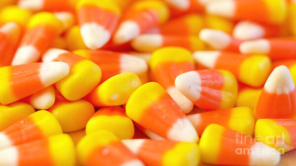 Halloween Poster featuring the photograph Macro closeup of Halloween traditional Candy Corn treats. by Milleflore Images