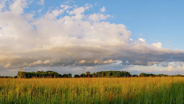 Illinois Poster featuring the photograph Midewin Prairie Panorama by Todd Bannor