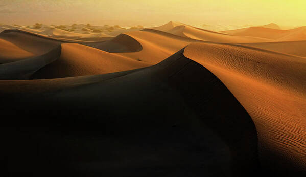 Tranquility Poster featuring the photograph Morning Glow On Dunes by David Toussaint