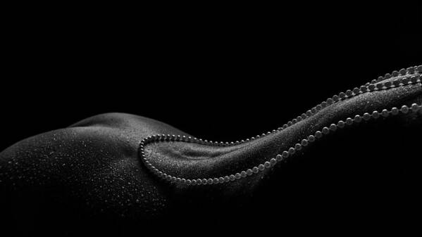 Bodyscape Poster featuring the photograph Pearls by Mieke Engelbos