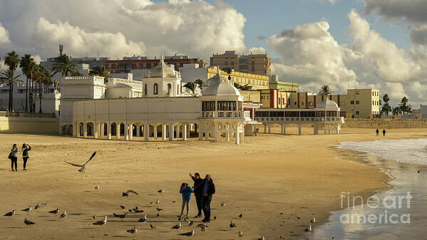 Beautiful Poster featuring the photograph Seagulls at Caleta Beach Cadiz Spain by Pablo Avanzini