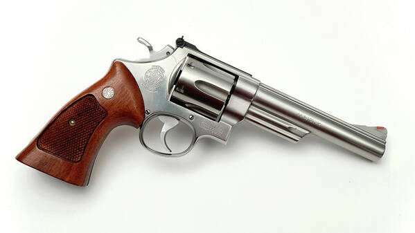 .44 Poster featuring the photograph Smith & Wesson Model 629 29 Stainless by Theodore Clutter