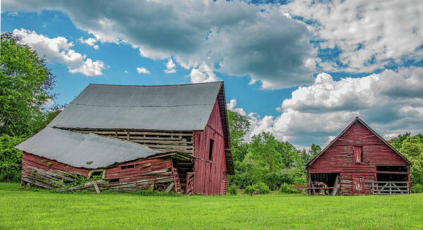 Country Road Poster featuring the photograph Summertime in Georgia by Marcy Wielfaert