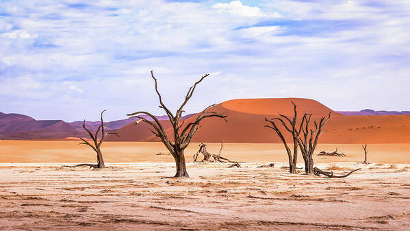 Landscape Poster featuring the photograph The Sands of Time by Hamish Mitchell