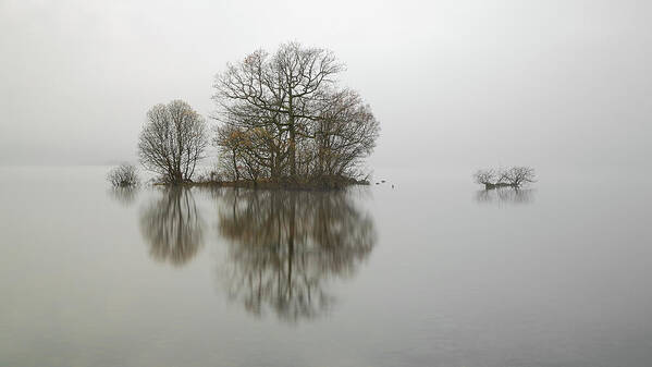 Fog Poster featuring the photograph Loch Lomond #4 by Grant Glendinning