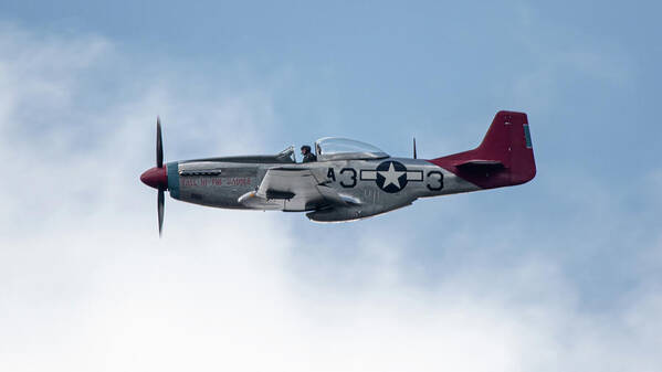 P51 Mustang Poster featuring the photograph P51 Mustang Tall In The Saddle by Airpower Art