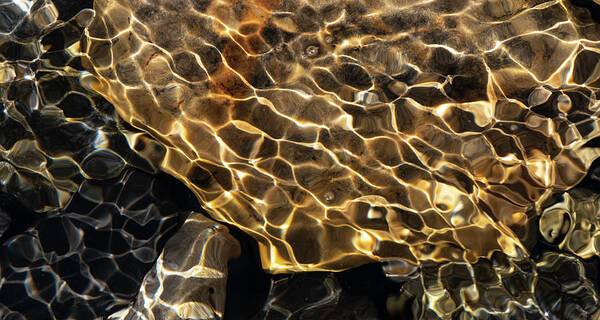 Ripple Poster featuring the photograph Abstract of golden sunlight on ripples by Phil And Karen Rispin
