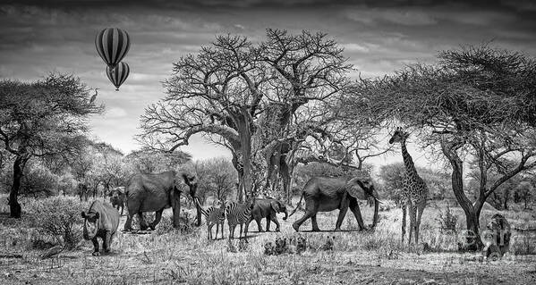 Africa Poster featuring the photograph African Wildlife by Lev Kaytsner