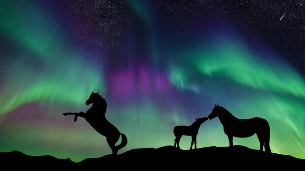 Picture Poster featuring the digital art Aurora Horses by Larah McElroy