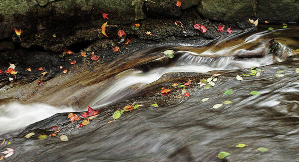 Autumn Poster featuring the photograph Autumn Falls II by Cameron Wood