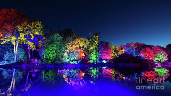 Night Photography Poster featuring the photograph Autumn Illuminations by Eva Lechner