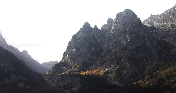 Autumn Light In The Tetons Poster featuring the photograph Autumn Light In The Tetons by Dan Sproul