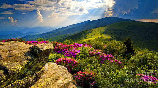 Blue Ridge Parkway Poster featuring the mixed media Blue Ridge Parkway Catawba Rhododendrons by Sandi OReilly