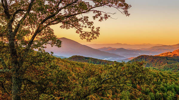 Landscape Poster featuring the photograph Waking Up Blue Ridge Parkway by Rachel Morrison