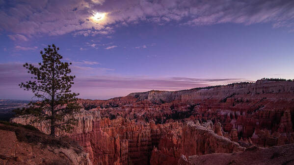 Utah Poster featuring the photograph Bryce Canyon by Bryan Xavier