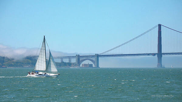 Sailing Poster featuring the photograph Classic San Francisco Bay by Connie Fox
