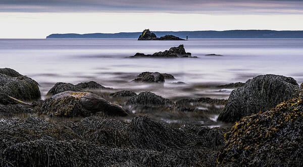 Rockweed Laden Poster featuring the photograph Coastal Outcrops At Quoddy by Marty Saccone